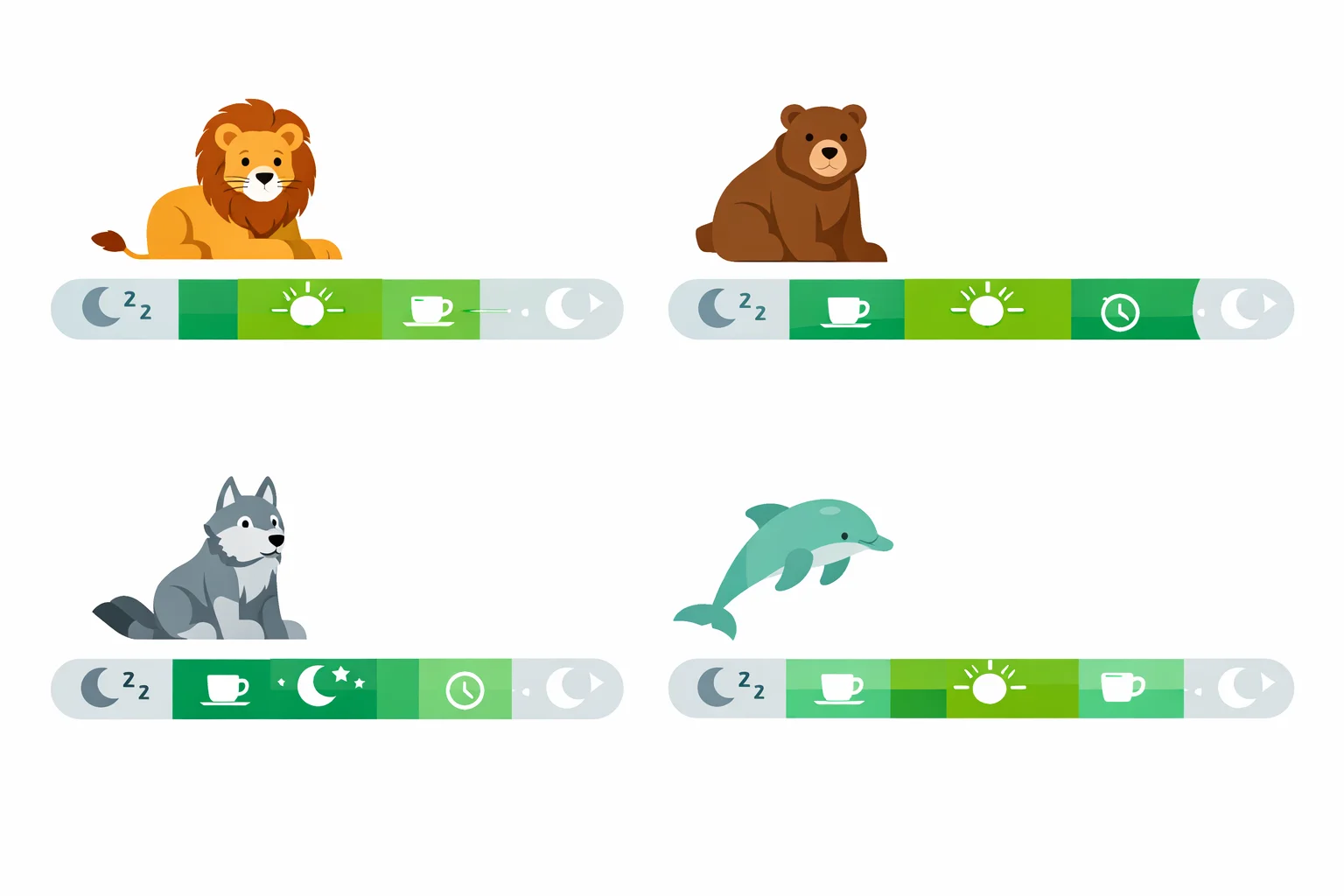 Chronotype Quiz: What Sleep Animal Are You?